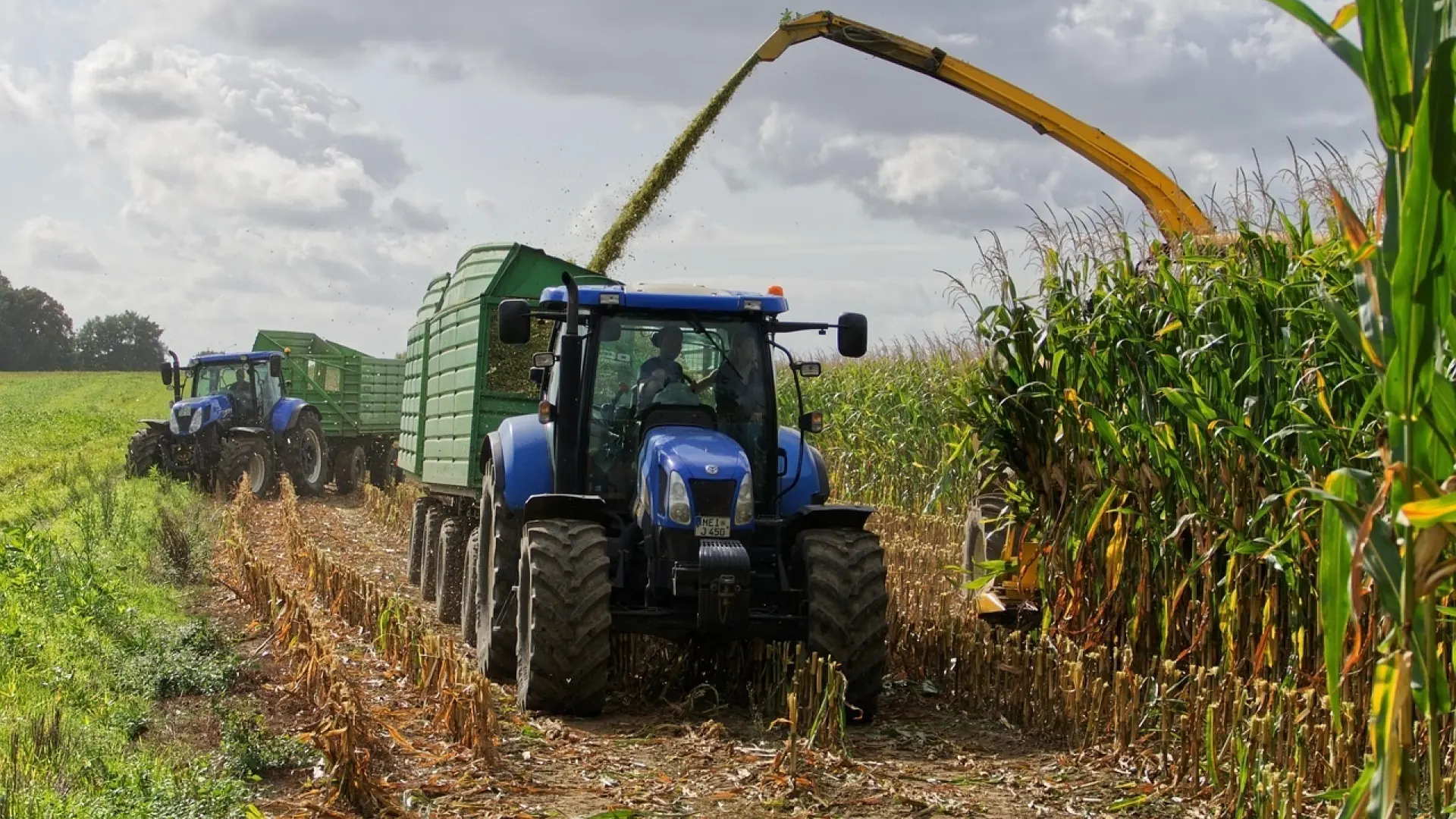 Верховный суд Испании исключил компенсации по НДС из доходов фермеров