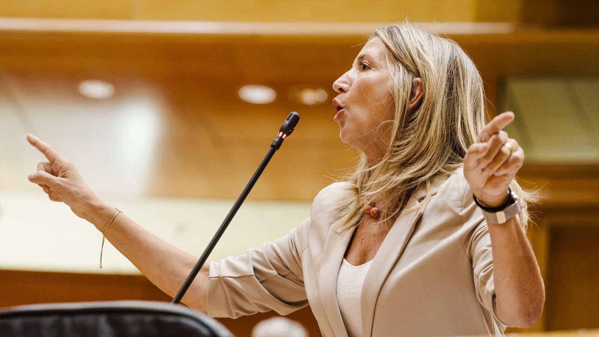 
         El PP vuelve a citar el 16 de abril a la mujer de Cerdán a la comisión del Senado del 'caso Koldo' tras ausentarse en dos ocasiones 
    