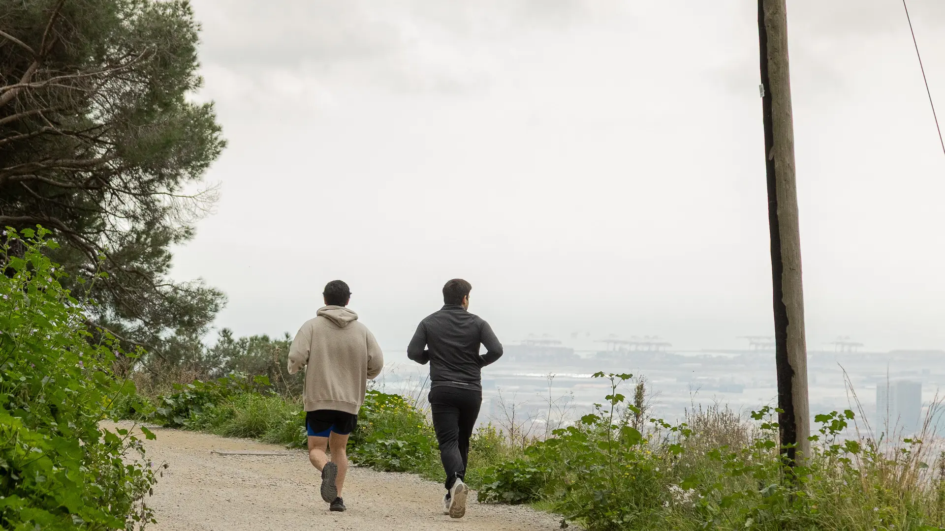 
         Ni Sarrià ni Pedralbes: el barrio pegado a Collserola que se cuela entre los más caros de España 
    