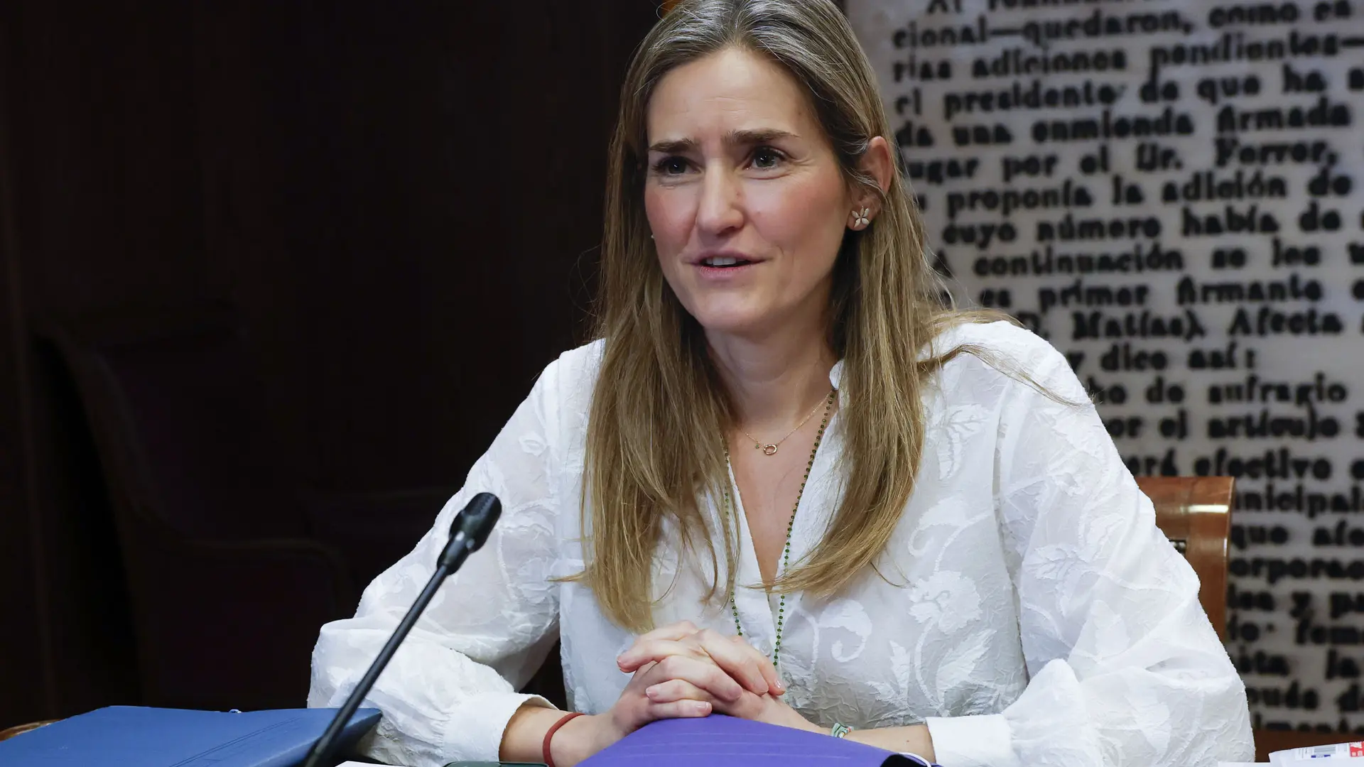 
         El Gobierno aclara que Aagesen se reunió en Moncloa con Forestalia en 2024 en un encuentro junto a otras renovables 
    