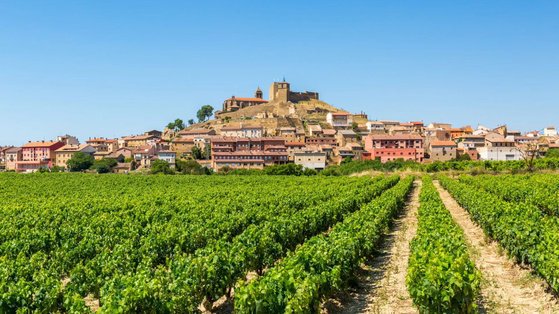
         El pueblo donde nació De la Fuente, el seleccionador de España: edificios señoriales y cuna de vinos 
    