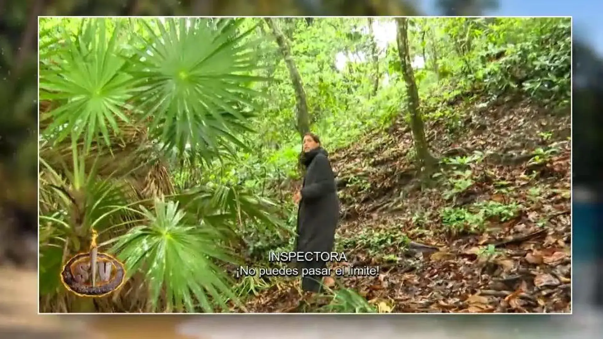 
         Un miembro del equipo de 'Supervivientes' interviene en directo al ver a Ingrid Betancor intentando saltarse una estricta regla del reality 
    