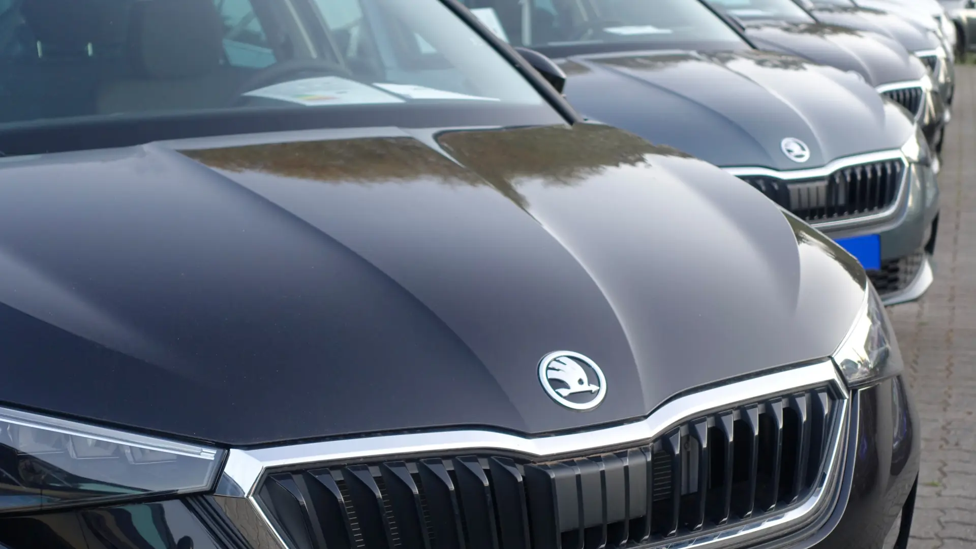 
         Škoda anuncia que dejará de vender sus vehículos en China ante el crecimiento de las marcas nacionales y el salto a la electrificación 
    