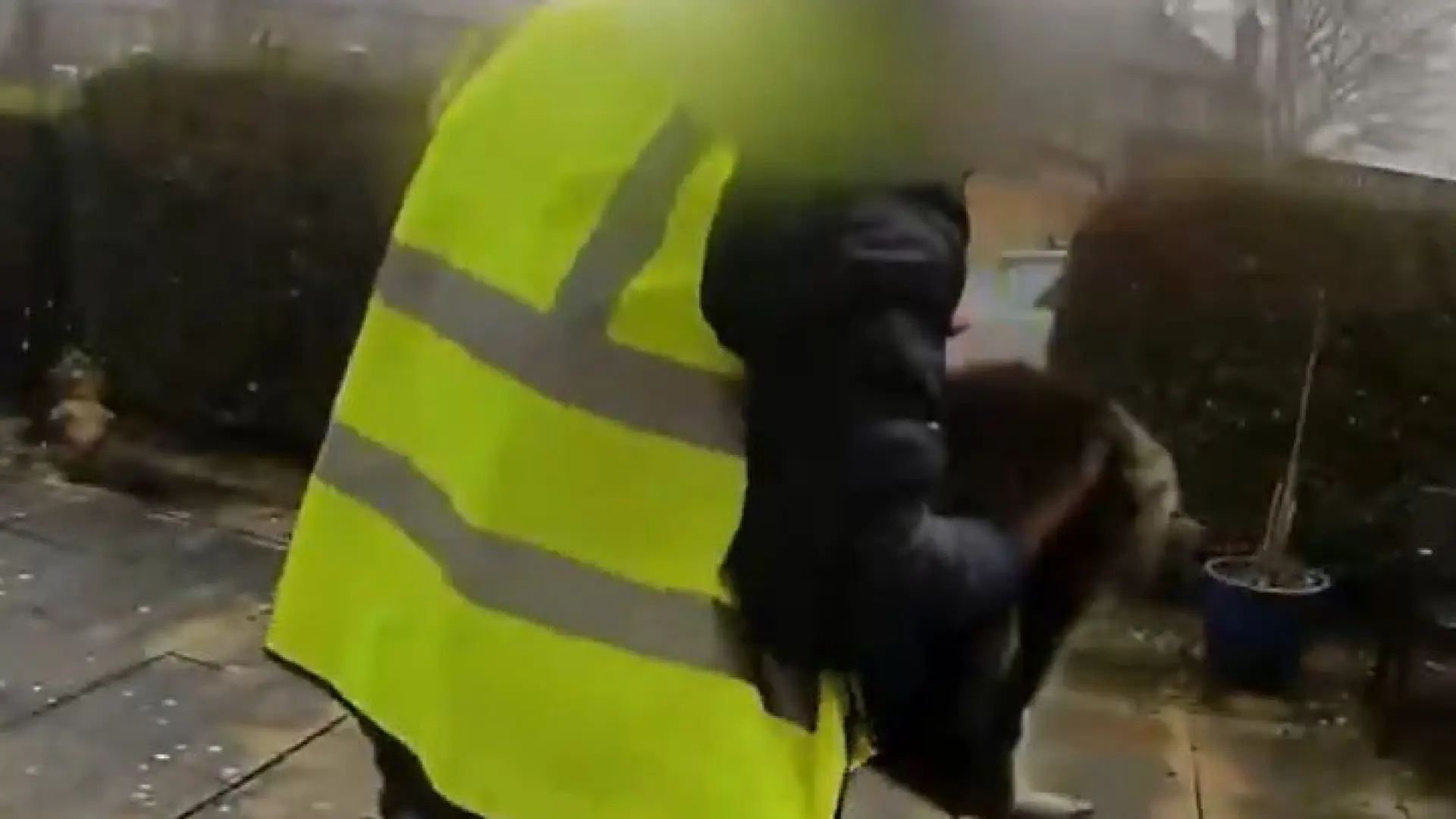 
         Detenido un repartidor de Amazon que fue pillado robando la gata de una familia cuando realizaba una entrega 
    