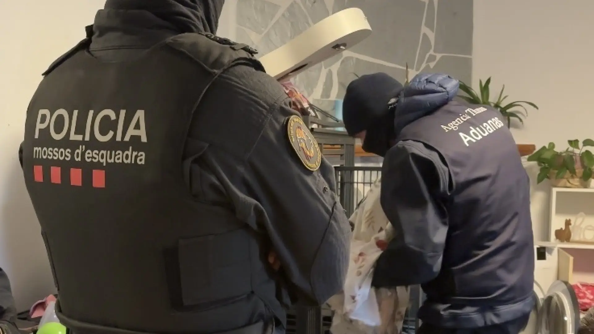 
         Desarticulada una red internacional de tráfico de drogas que operaba desde Figueres 
    