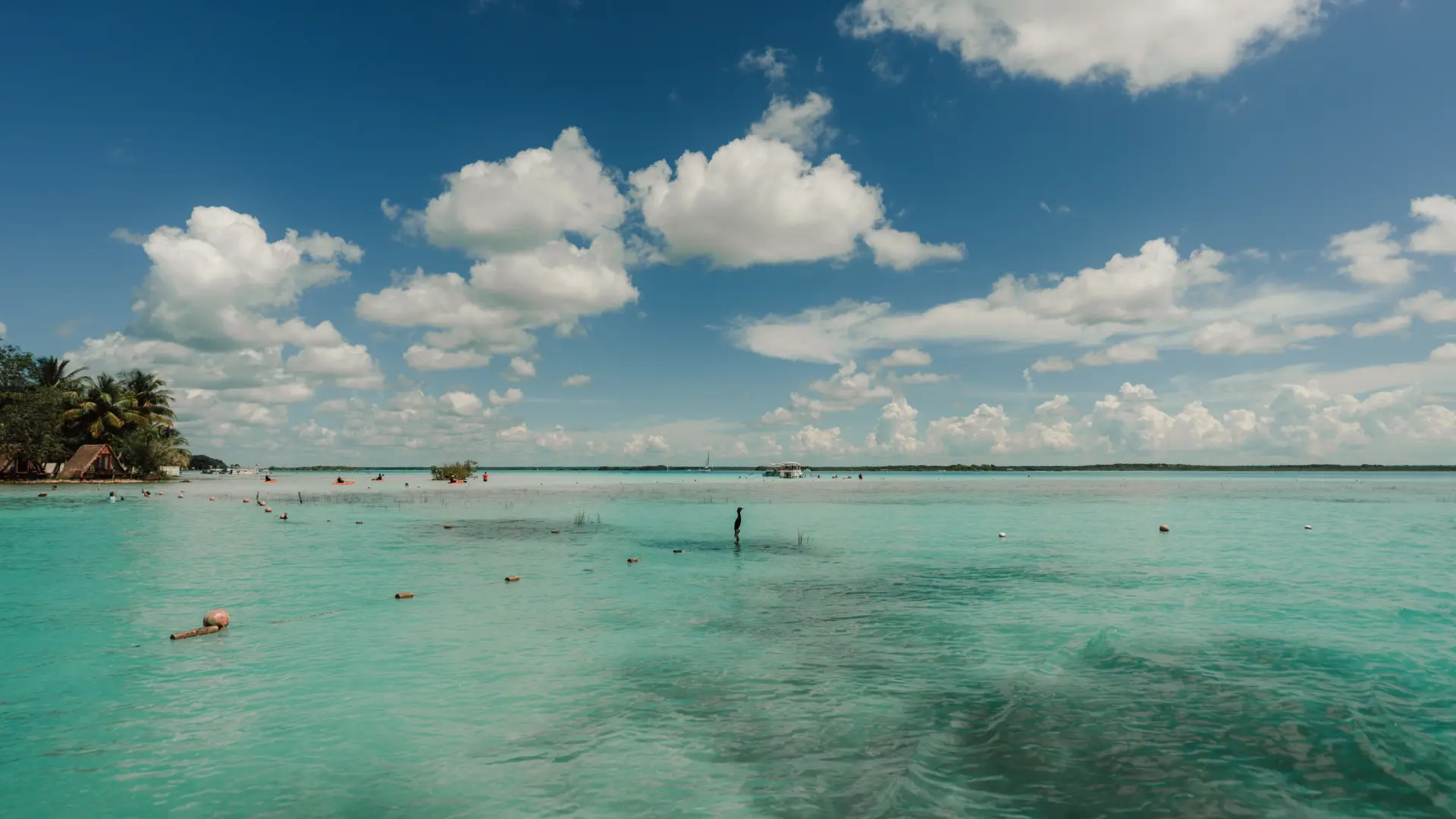 
         Tres joyas semiocultas del Caribe mexicano: la naturaleza y la arqueología desconocidas del Yucatán 
    