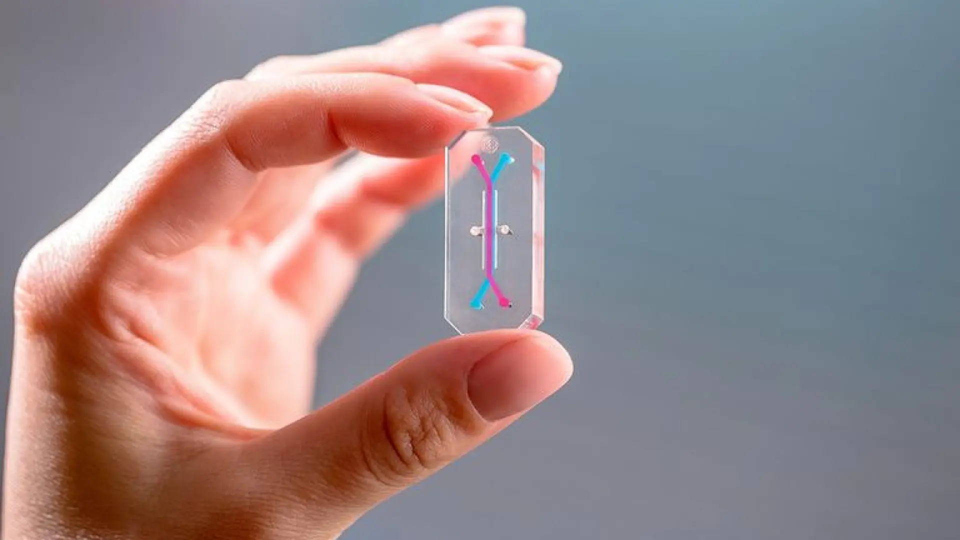 La nave Orión 'esconde' chips claves para la humanidad