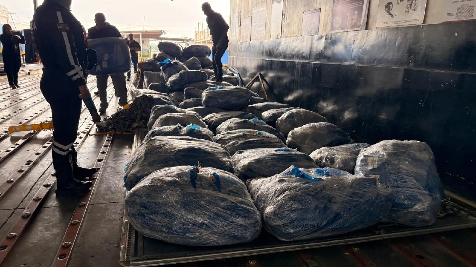 
         Decomisadas en Ecuador cerca de 22.000 aletas de tiburón que iban a ser enviadas a Malasia 
    