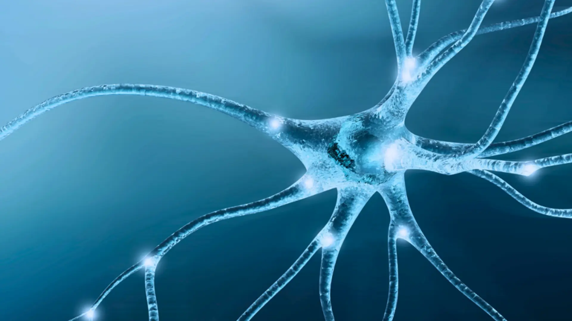 Una técnica española permite estudiar por primera vez neuronas implicadas en trastornos como la esquizofrenia