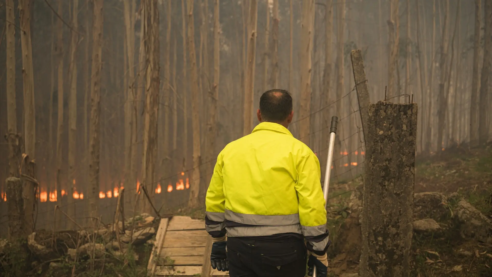 
         Incendios forestales en Galicia: desalojos en dos pueblos de A Coruña mientras otro fuego amenaza viviendas en Pontevedra 
    