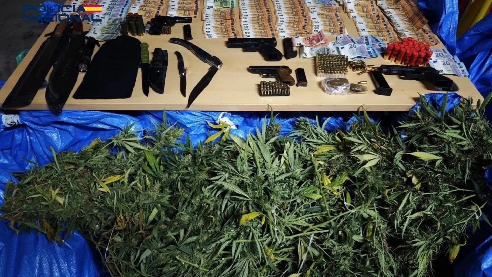 
         Detenidos 12 miembros de varios clanes familiares dedicados al cultivo de marihuana en Sevilla 
    