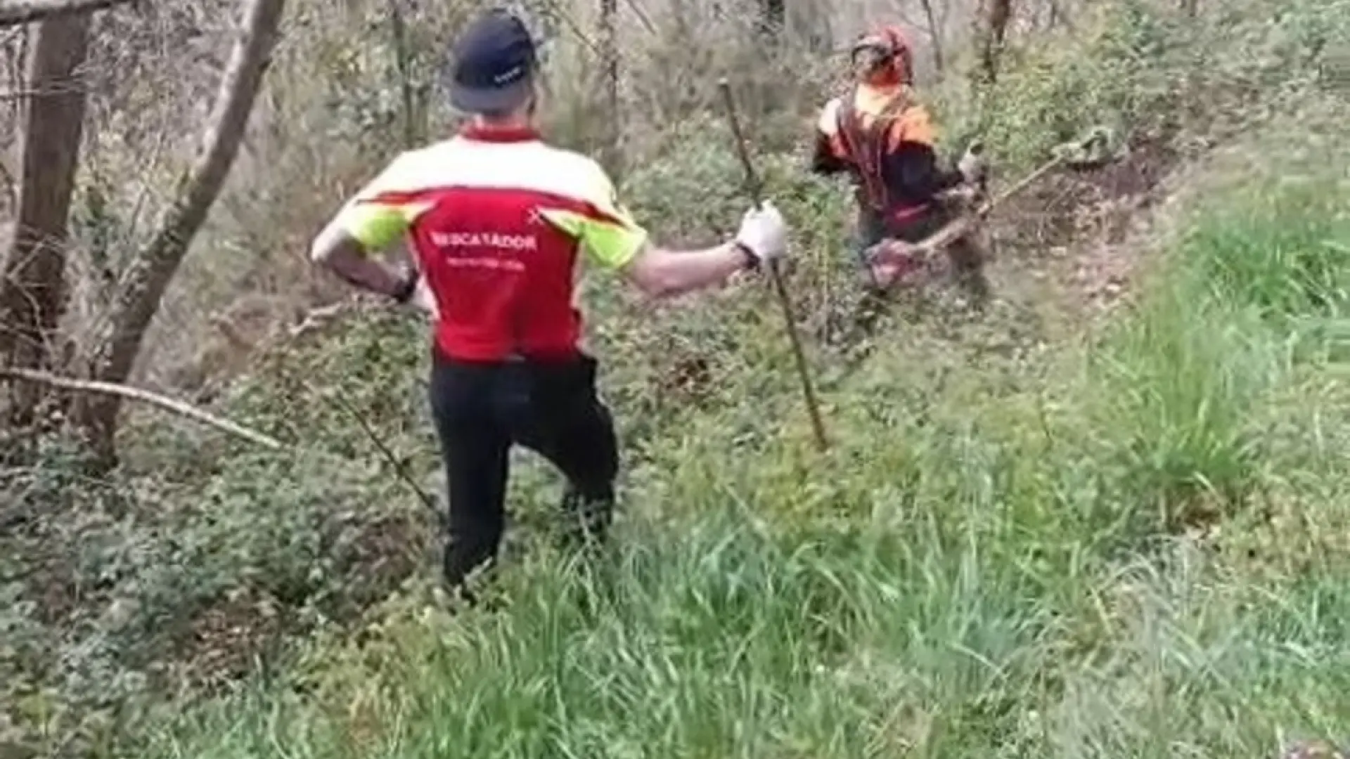 
         La búsqueda del hombre desaparecido en Toranzo se centra en zonas de maleza 
    