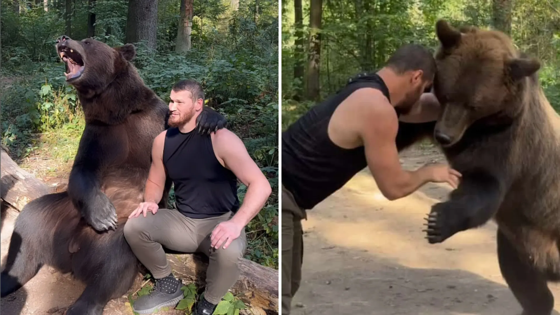 
         Makhmudov, el nuevo rival de Tyson Fury que peleó contra un oso: "Fue horrible, intentó morderme" 
    