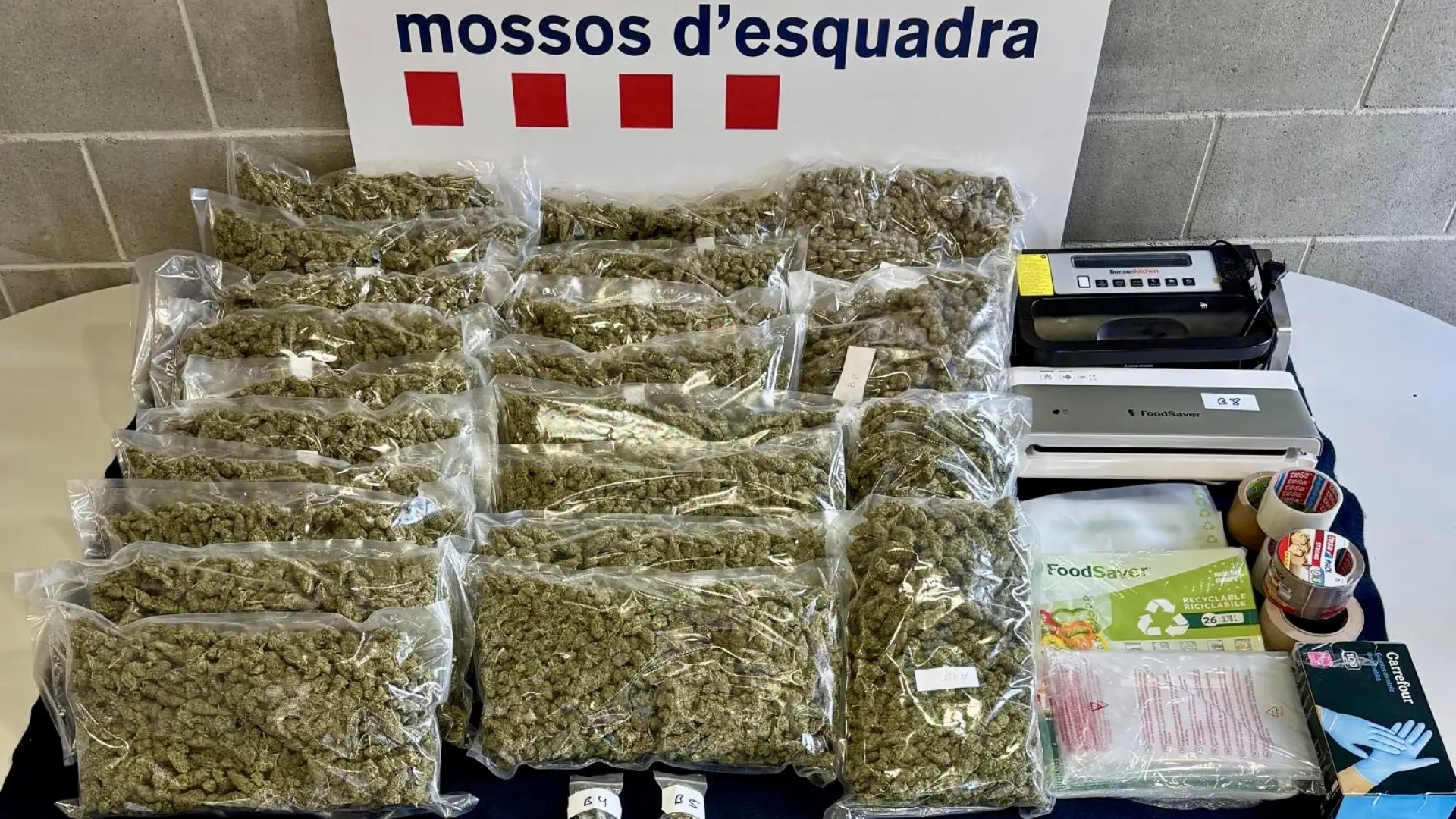 
         Detenido en Martorell con 10 kilos de marihuana tras darle el alto por conducir de forma negligente 
    