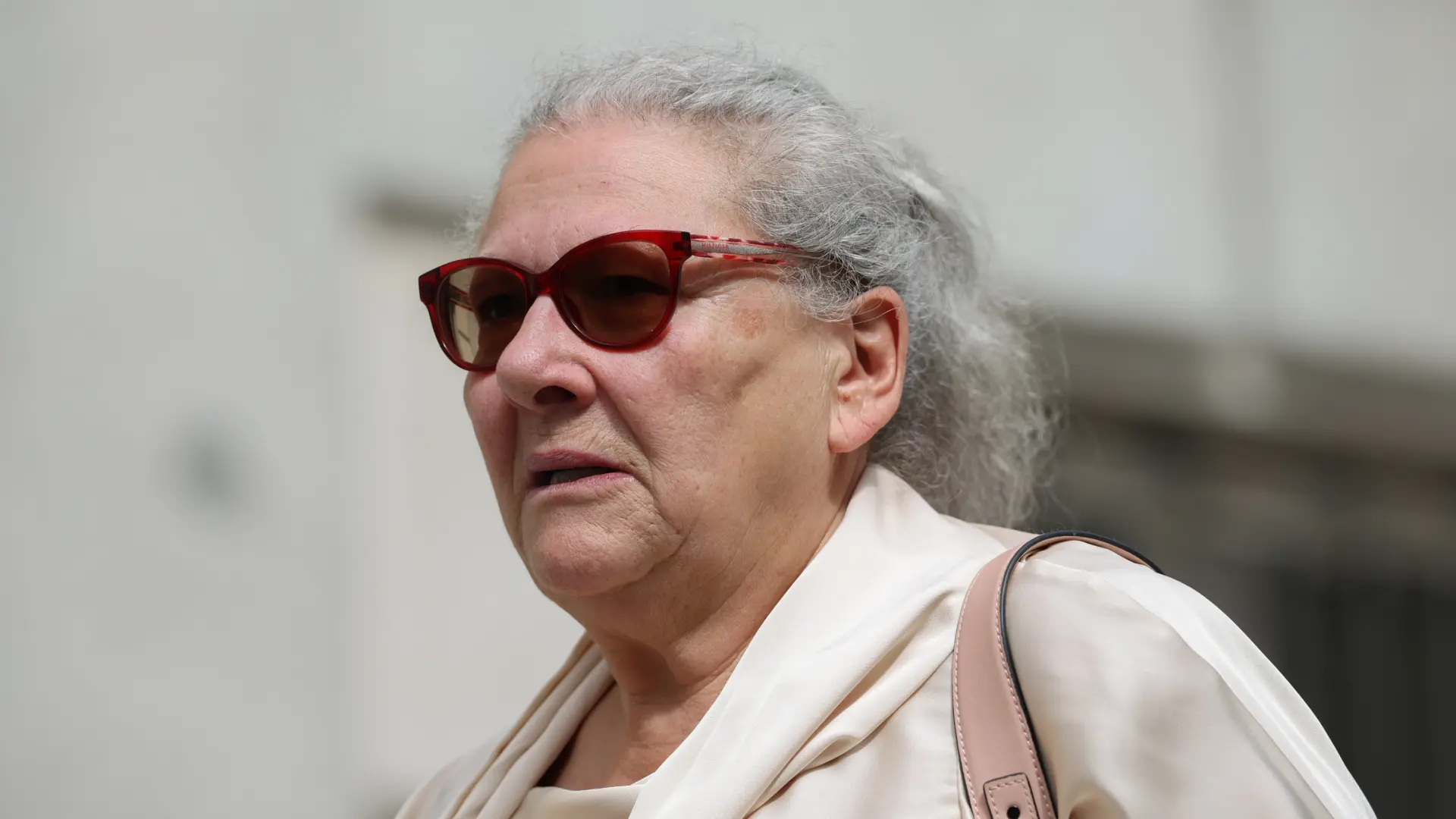 
         Carmen Pano asegura en el juicio que entregó 90.000 euros en Ferraz: "Me estaban esperando al salir del ascensor" 
    