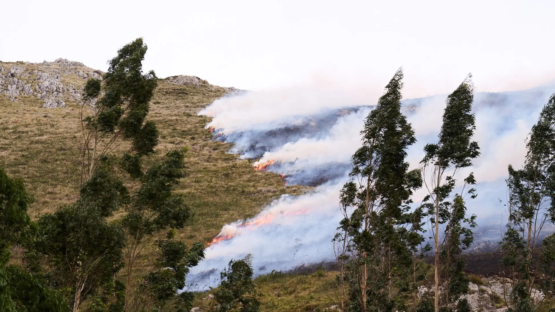 
         Descienden los fuegos del norte y solamente hay un incendio activo en Cantabria 
    