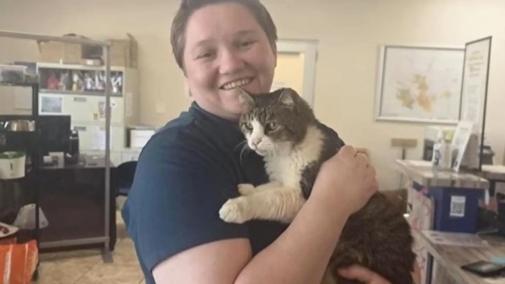 
         Tras cinco años perdida, una gata se reencuentra con su familia gracias a su chip 
    