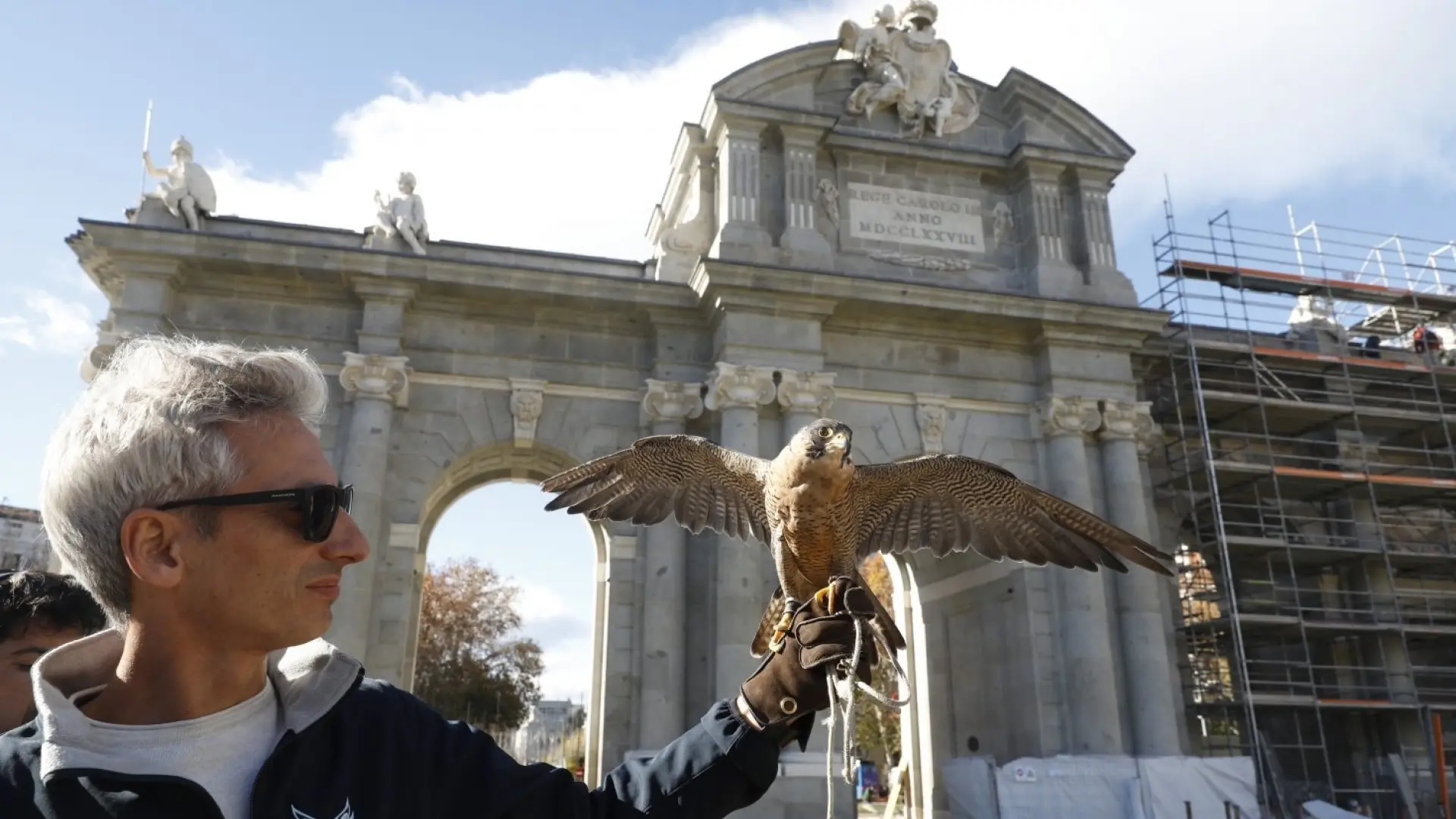 
         Dos águilas y un halcón ahuyentarán a las palomas de la Puerta de Alcalá a partir del 1 de mayo para conservar el monumento 
    