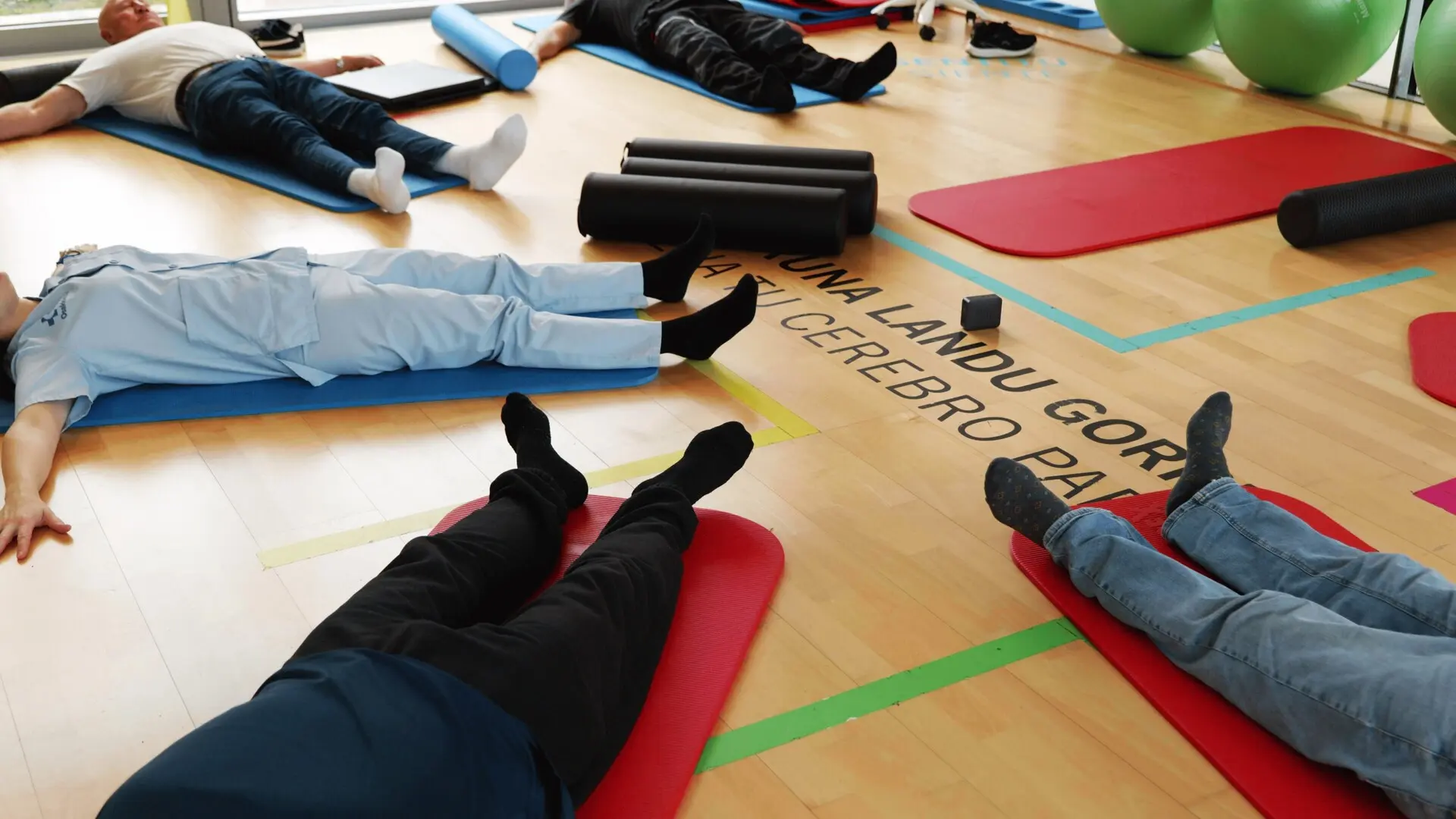 
         La sanidad vasca pone en marcha un servicio de telerrehabilitación 
    