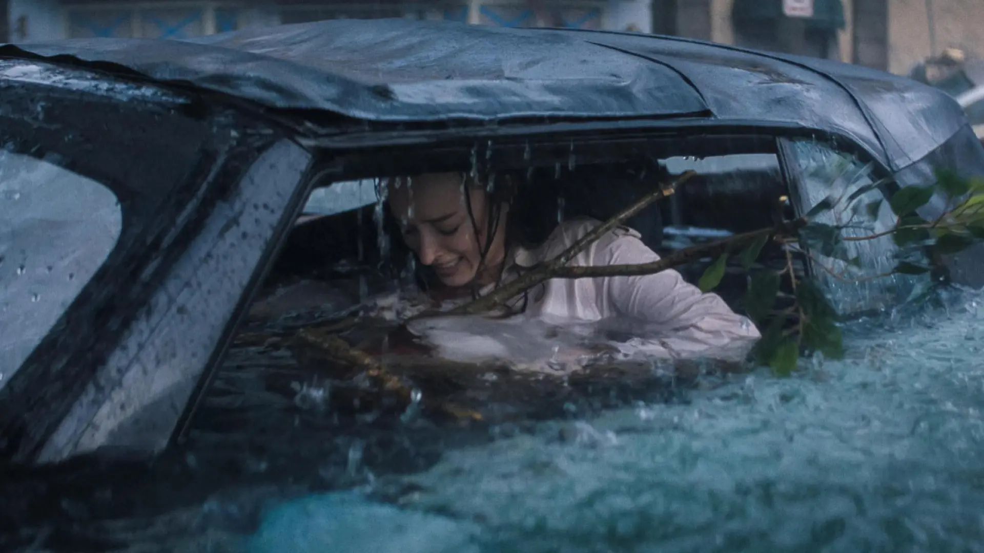 
         Stephen King recomienda la película sobre tiburones asesinos que arrasa en Netflix: "Tiene la mejor frase del año" 
    