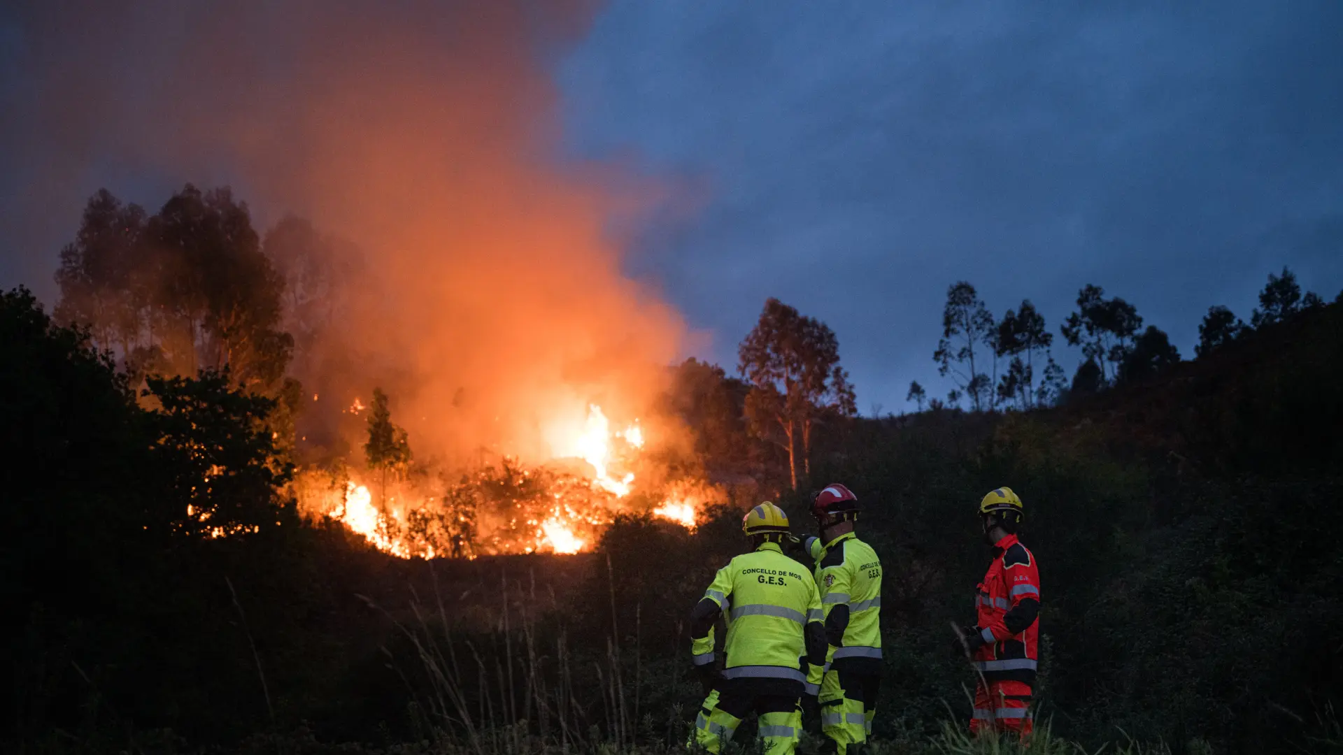 
         El fuego arrasa 12.946 hectáreas en España en el primer trimestre de 2026, más del doble que en 2025 
    