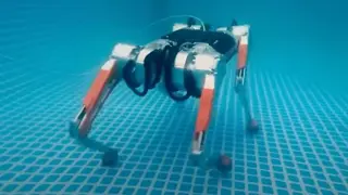 El pero robot Honey Badger, de MAB Robotics, caminando en el agua