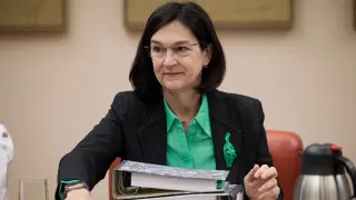 La presidenta de la Comisión Nacional de los Mercados y la Competencia (CNMC), Cani Fernández.