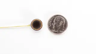 Chip Connexus