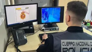 Un agente de la Policía Nacional, de espaldas.