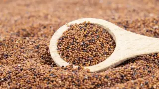 El cereal sin gluten que frena el envejecimiento y potencia músculos y memoria