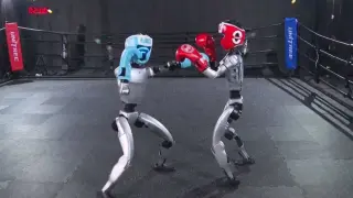 Dos robots humanoides peleando en un combate de boxeo.