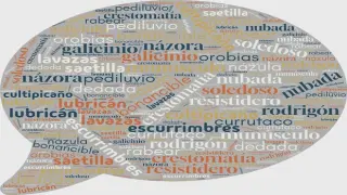 20 palabras que quizás no conocías y que te ayudarán a enriquecer tu vocabulario