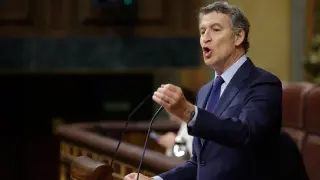 El presidente del PP, Alberto Núñez Feijóo, interviene durante el pleno celebrado en el Congreso.