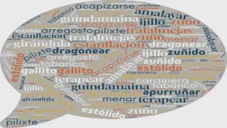 20 palabras que quizás no conocías y que te ayudarán a enriquecer tu vocabulario