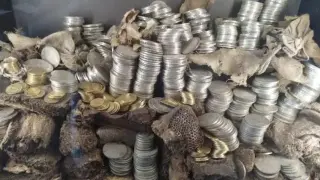 Las monedas fueron valoradas en 900.000 euros.