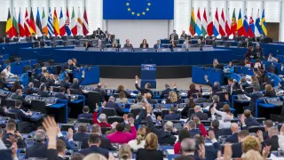 EP Plenary Session - Voting session