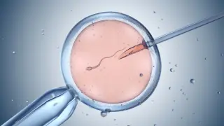 Imagen que representa un tratamiento de reproducción asistida.