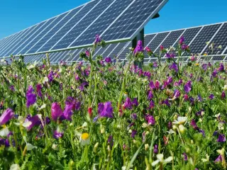 Endesa sigue trabajando de la mano de su compromiso con la Sostenibilidad.