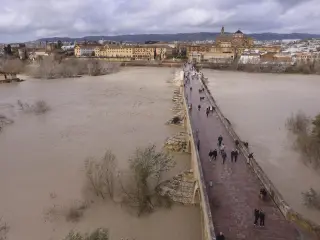 La crecida del Guadalquivir supera el doble del nivel rojo y obliga a desalojar a más de 700 viviendas en la zona 
