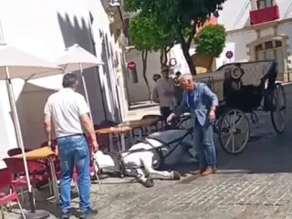 Caballo desplomado en Jerez, este Viernes Santo.