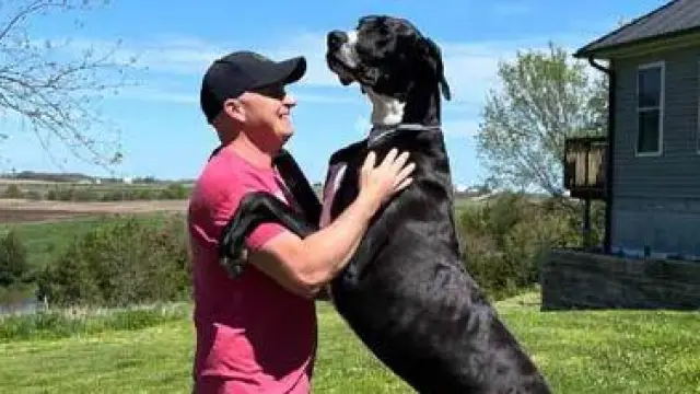 cuanto mide el perro mas alto del mundo