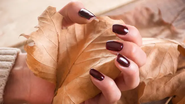 La manicura por excelencia del otoño.
