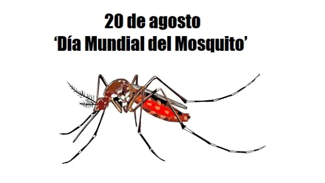 Día mundial del mosquito