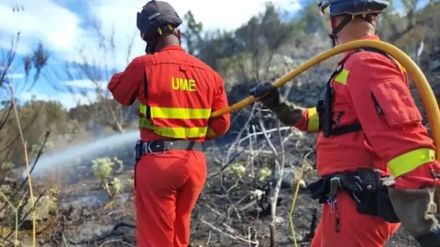Efectivos de la UME en la reactivación del incendio de Tenerife.
