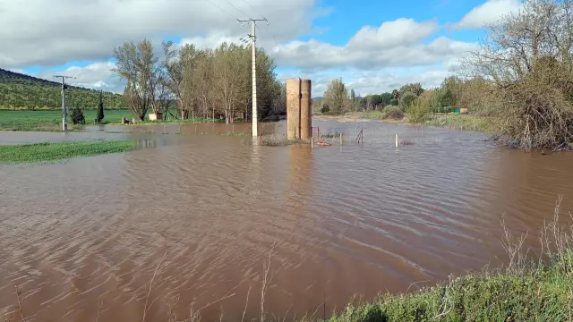 Vista de las zonas inundadas en el municipio de Malagón este viernes.