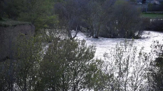 Crecida del río Gállego a su paso por Peñaflor, Zaragoza, este sábado.