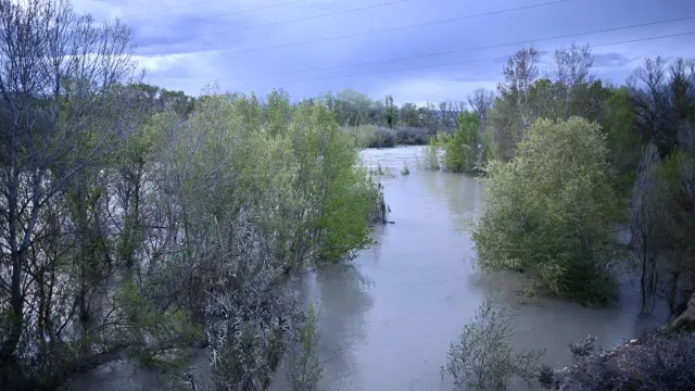 Crecida del río Gállego a su paso por Peñaflor, Zaragoza.