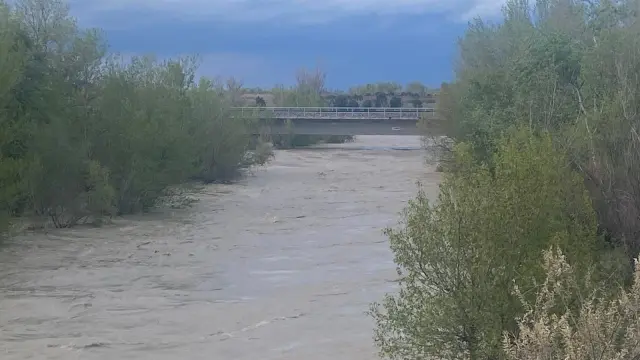 Estado del río Gállego a su paso por la capital aragonesa.