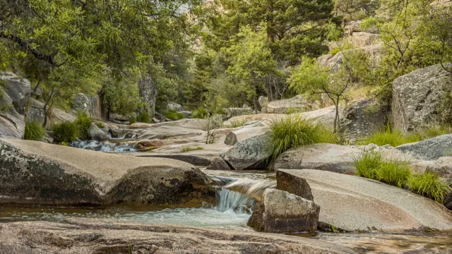 La Sierra de Guadarrama forma parte del Sistema Central, una larga cadena montañosa, de 500 kilómetros de longitud, que cruza de este a oeste el centro de la Península Ibérica. Las condiciones de la Sierra, más fresca y húmeda que las mesetas, y su menor transformación por la actividad humana han convertido a estas montañas en un privilegiado refugio de biodiversidad. En su medio físico destacan sus circos y lagunas glaciares y sus roquedos graníticos; entre sus paisajes vegetales, los ecosistemas de alta montaña y los extensos pinares de pino albar.