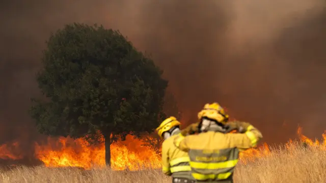 Evacuados 1.700 vecinos de León tras pasar a esta provincia el incendio de Molezuelas (Zamora)   